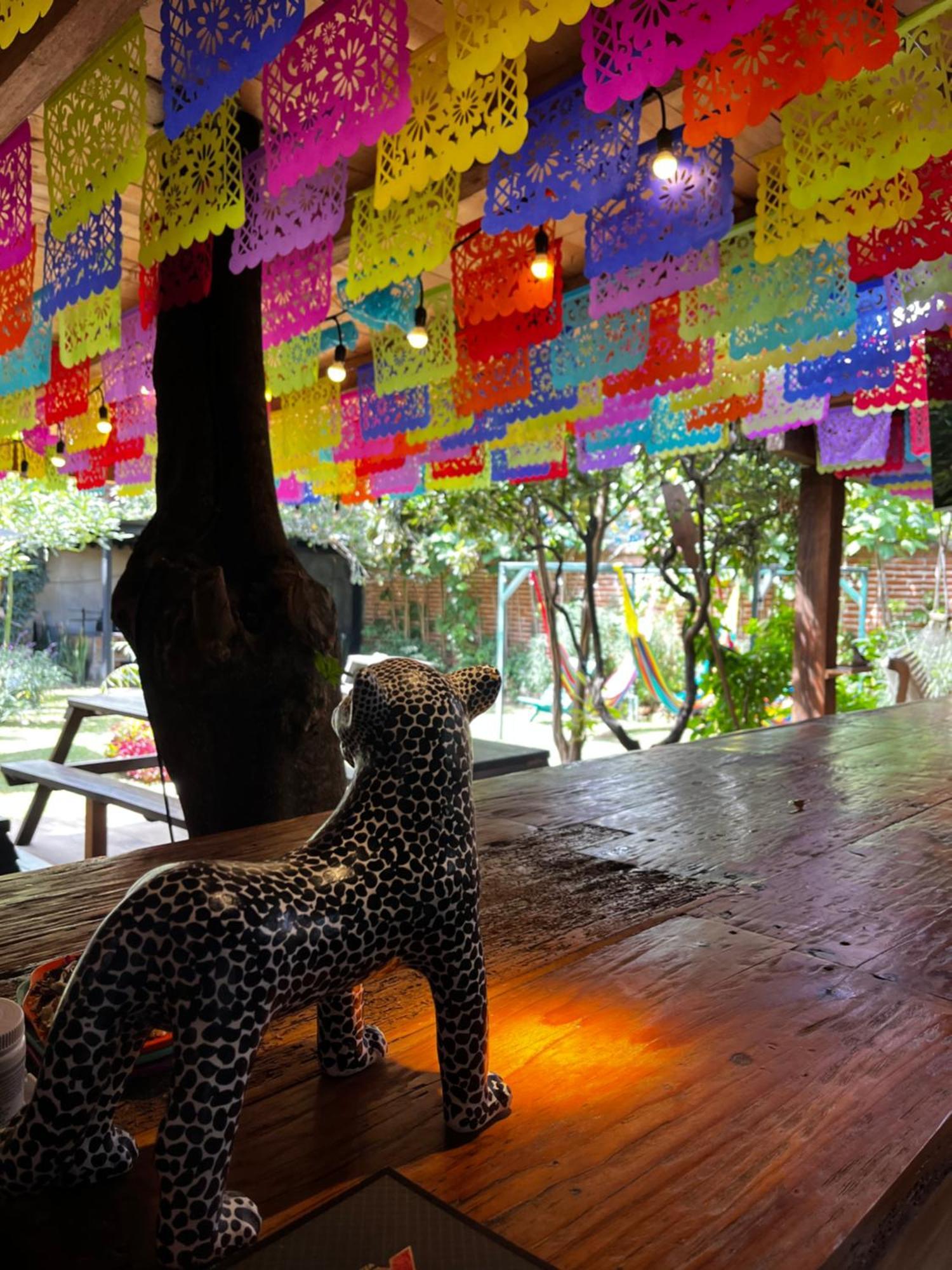 The Coffee Bean Hostel San Cristobal de las Casas Exterior photo